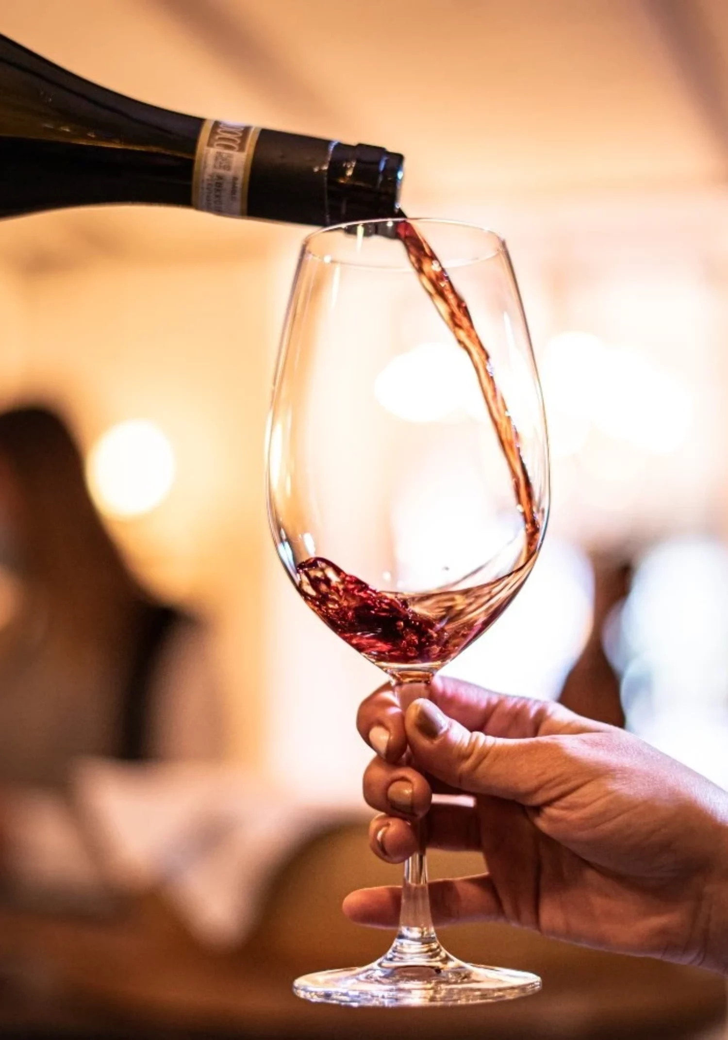 El mejor vino, en Davvero